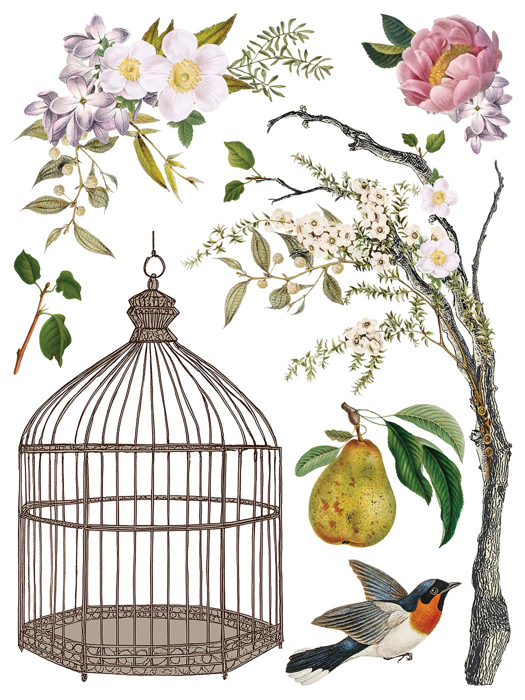 Transfer | MENAGERIE | IOD Iron Orchid Designs