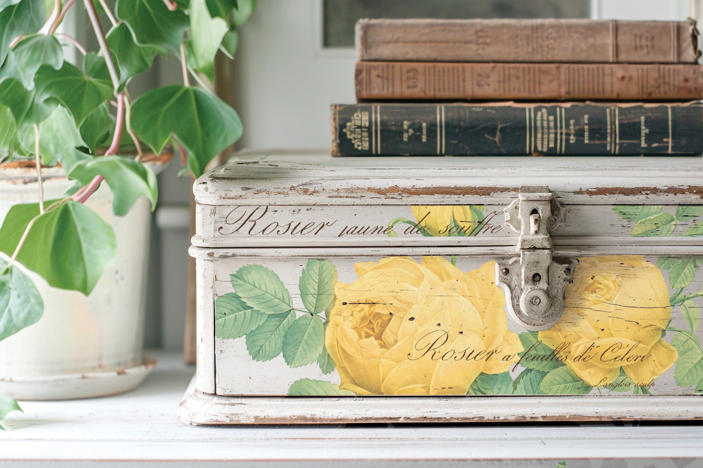 Transfer | ROSE BOTANICAL | IOD Iron Orchid Designs