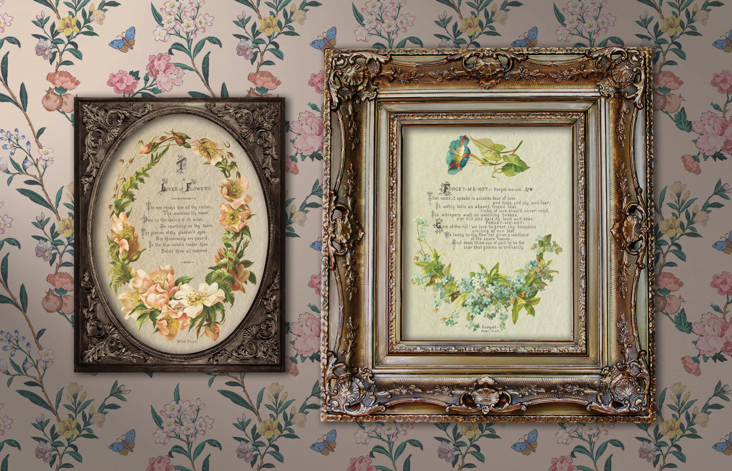 Transfer | LOVER OF FLOWERS | IOD Iron Orchid Designs