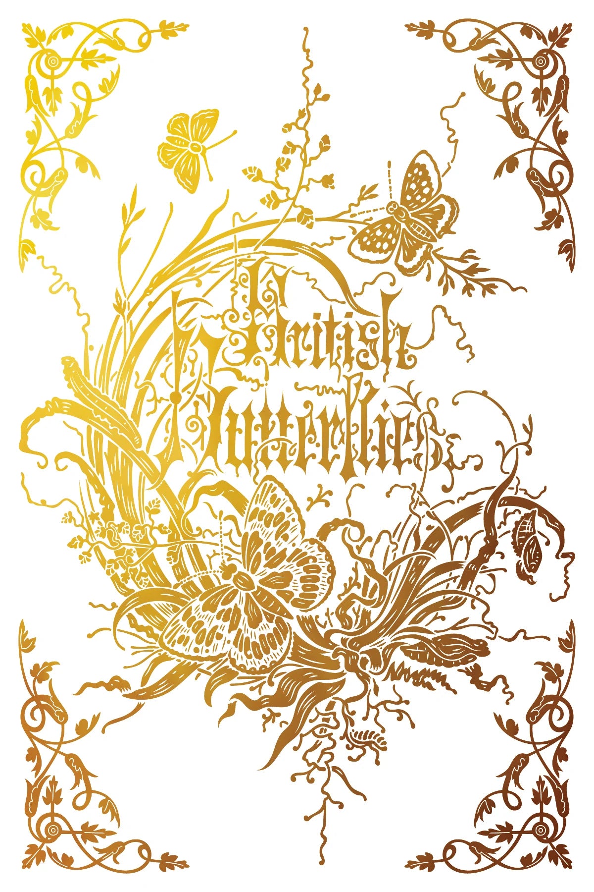 PRE-ORDER Gilded Transfer | ATHENAEUM | IOD Iron Orchid Designs