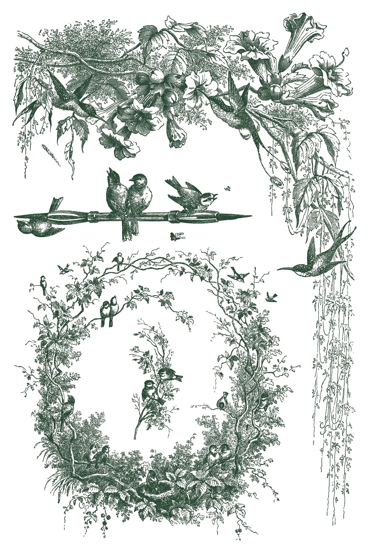 PRE-ORDER Paint Inlay | LITTLE LARK | IOD Iron Orchid Designs