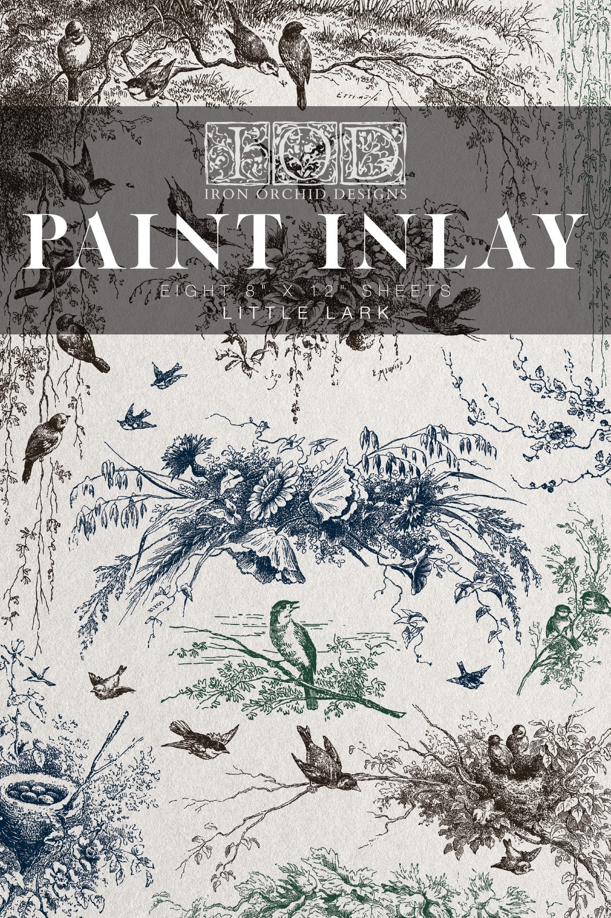PRE-ORDER Paint Inlay | LITTLE LARK | IOD Iron Orchid Designs
