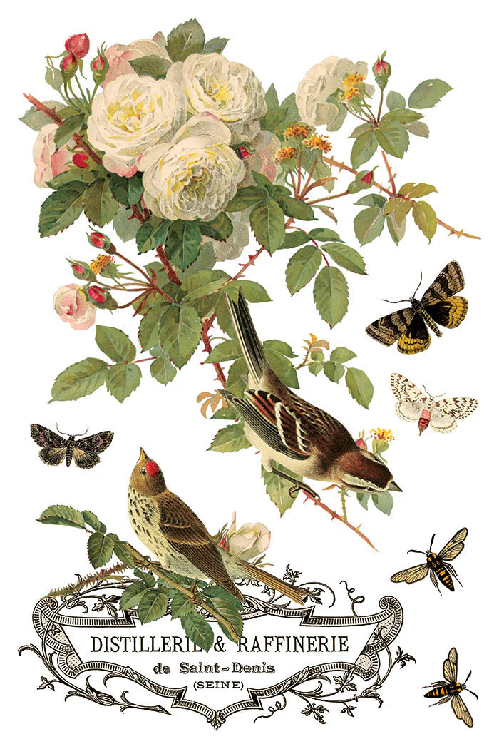 Transfer | BY ANY OTHER NAME | IOD Iron Orchid Designs