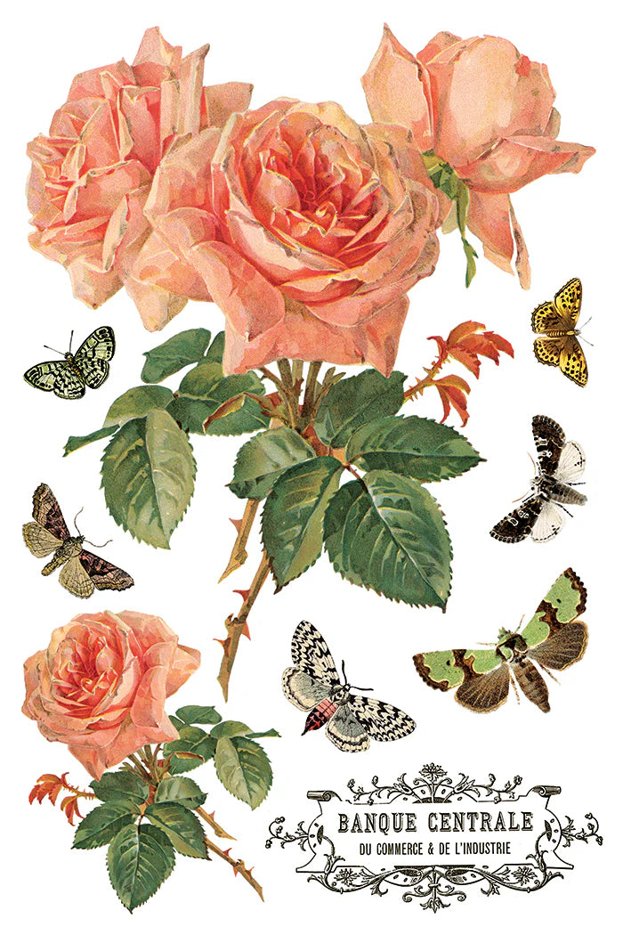 Transfer | BY ANY OTHER NAME | IOD Iron Orchid Designs