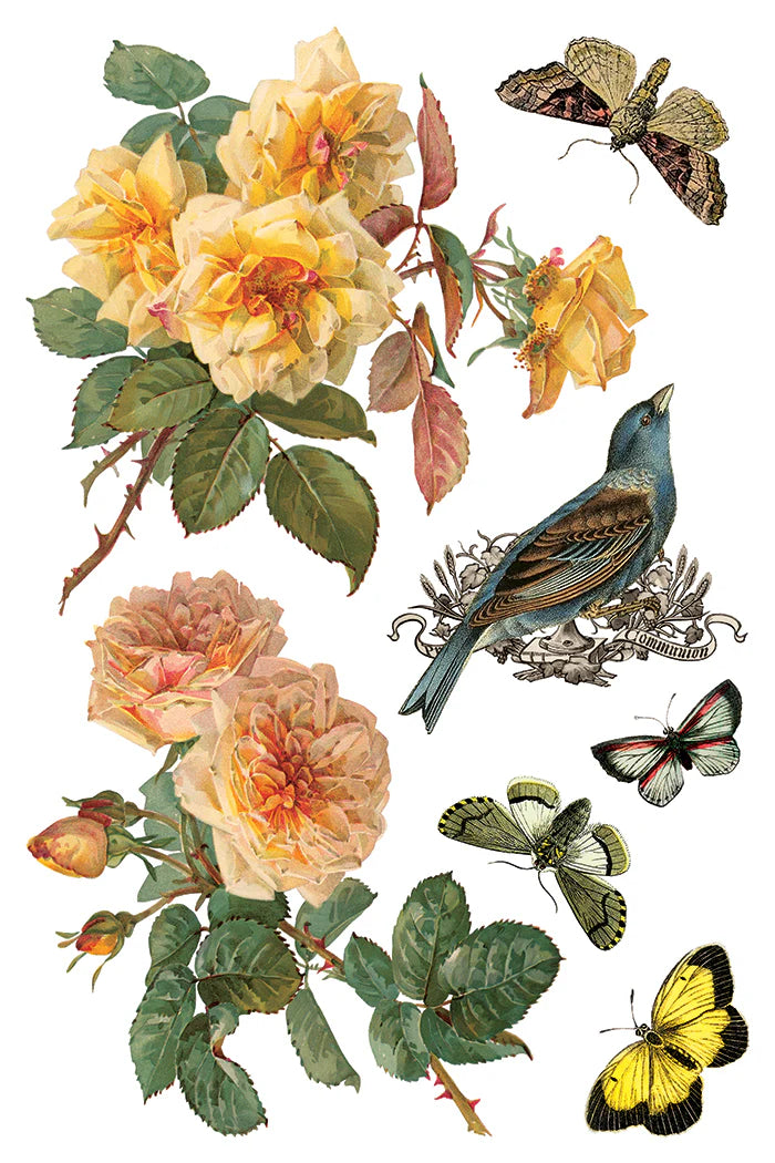 Transfer | BY ANY OTHER NAME | IOD Iron Orchid Designs
