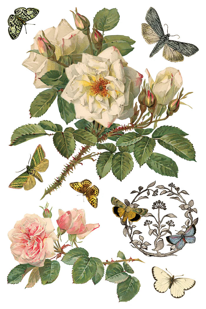 Transfer | BY ANY OTHER NAME | IOD Iron Orchid Designs