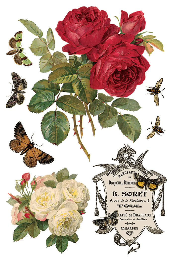 Transfer | BY ANY OTHER NAME | IOD Iron Orchid Designs