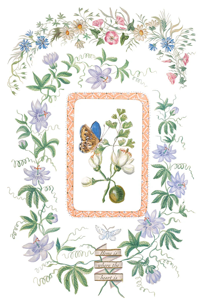 Transfer | EMILY CLARE | IOD Iron Orchid Designs