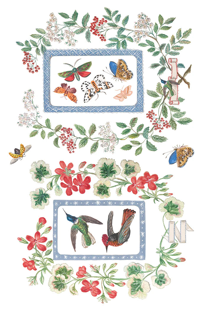 Transfer | EMILY CLARE | IOD Iron Orchid Designs