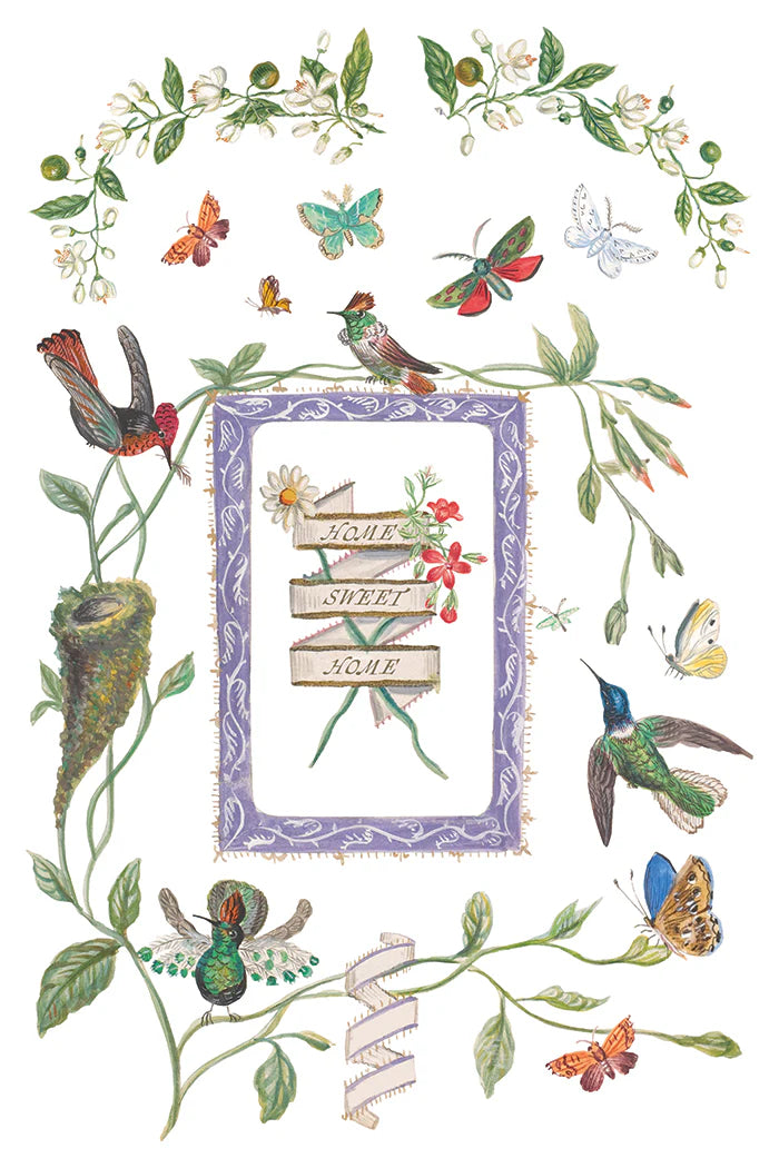 Transfer | EMILY CLARE | IOD Iron Orchid Designs