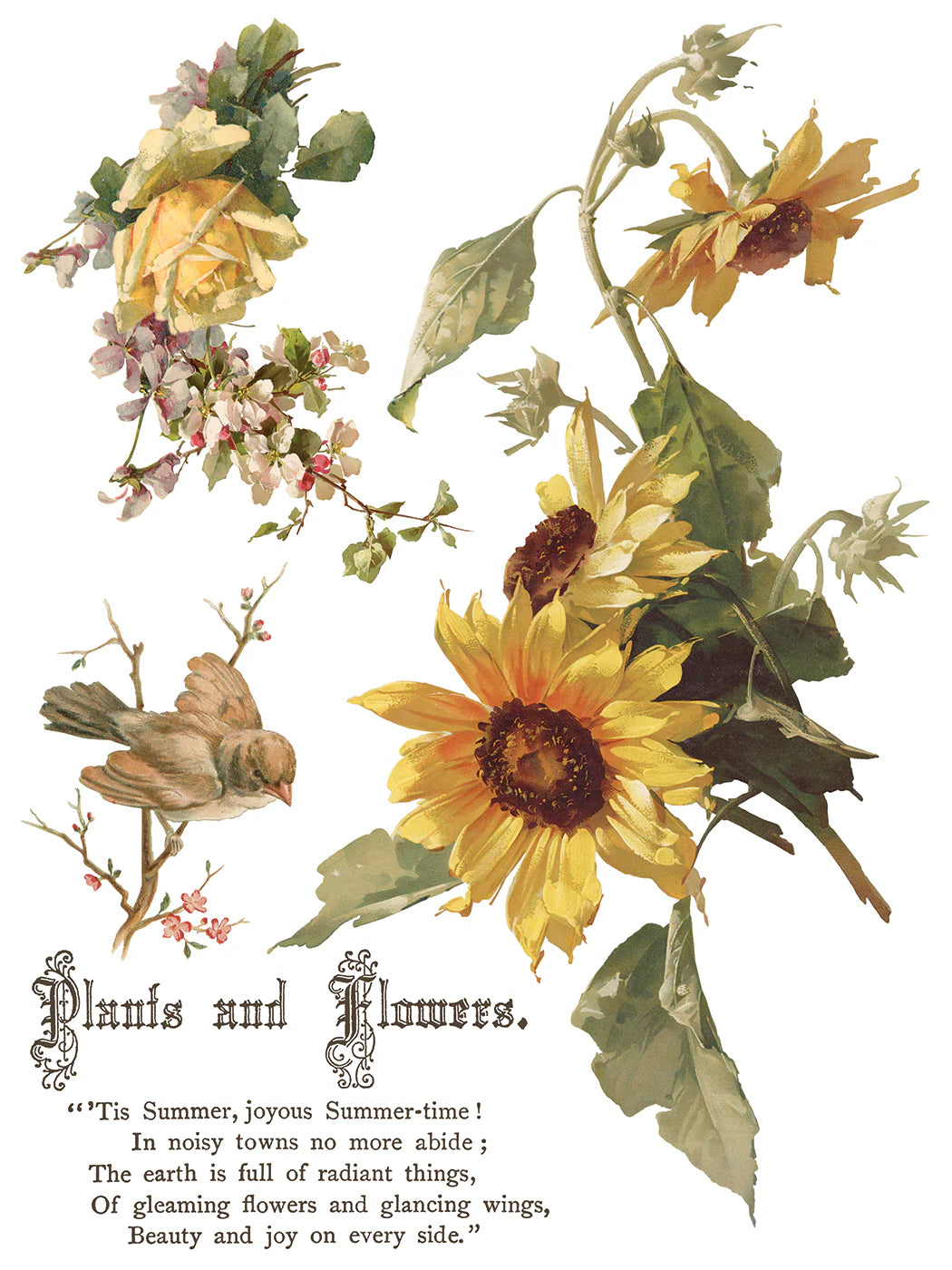 Transfer | FLOWERS BY THE POETS | IOD Iron Orchid Designs