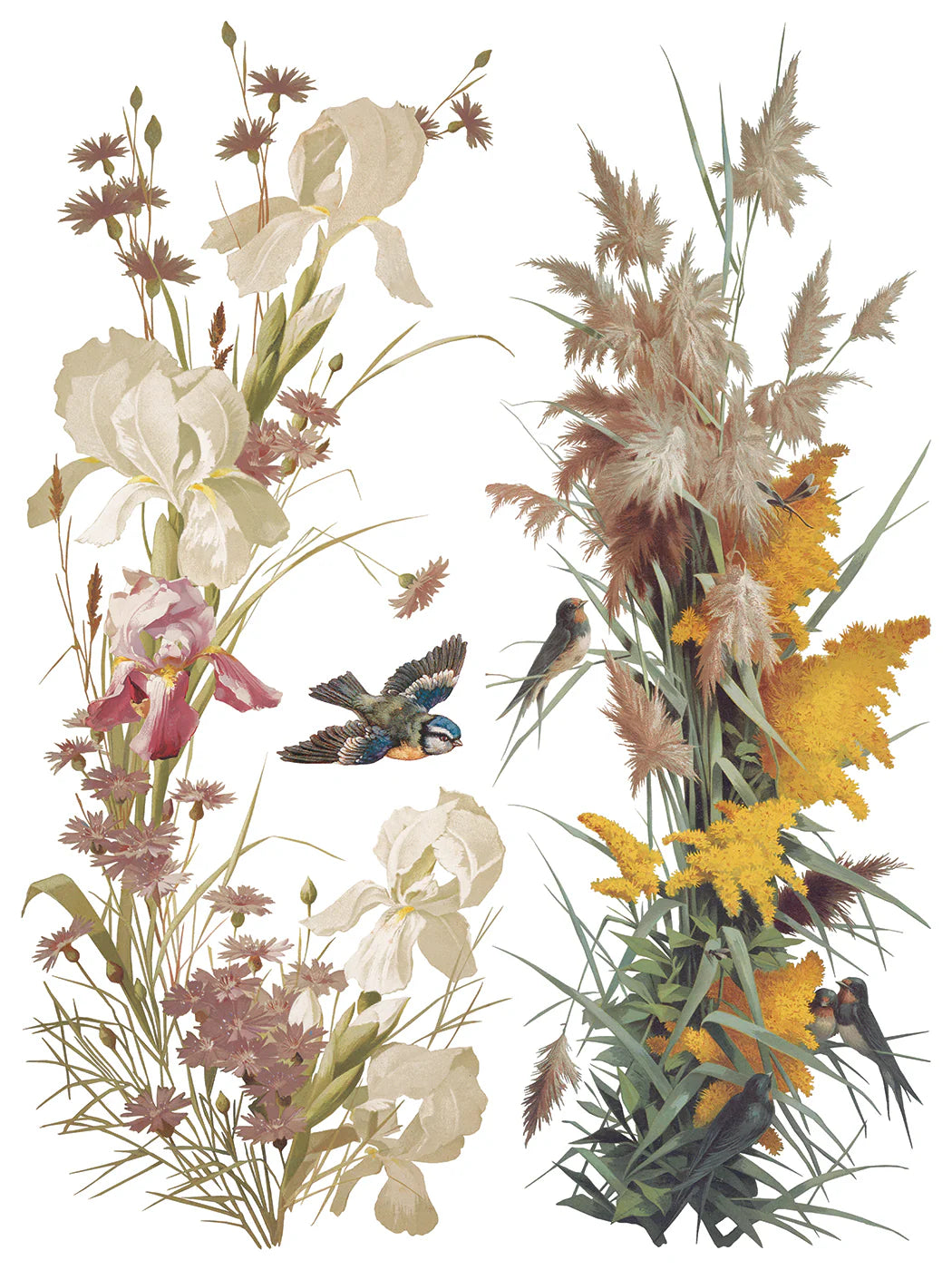 Transfer | FLOWERS BY THE POETS | IOD Iron Orchid Designs