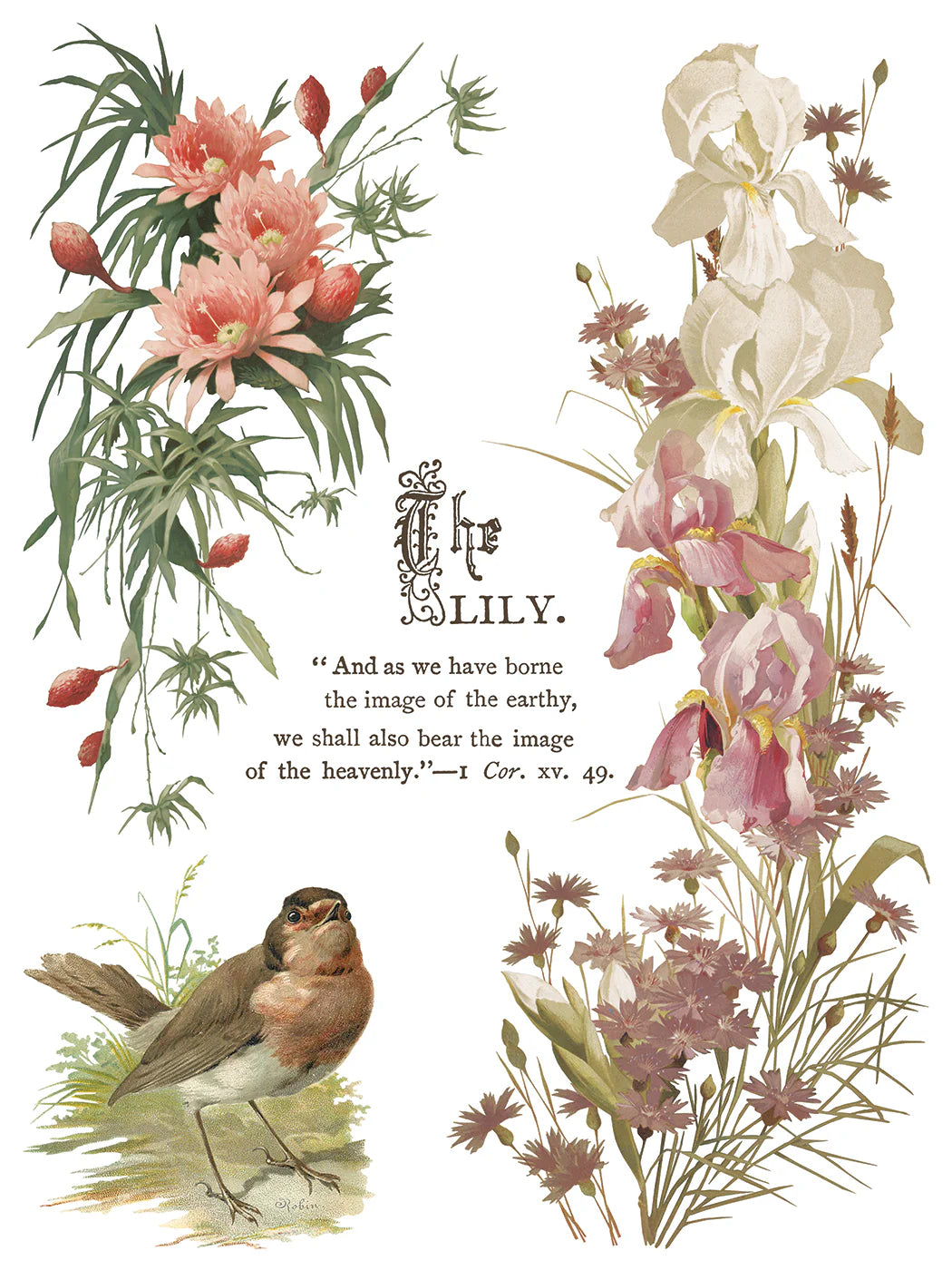 Transfer | FLOWERS BY THE POETS | IOD Iron Orchid Designs