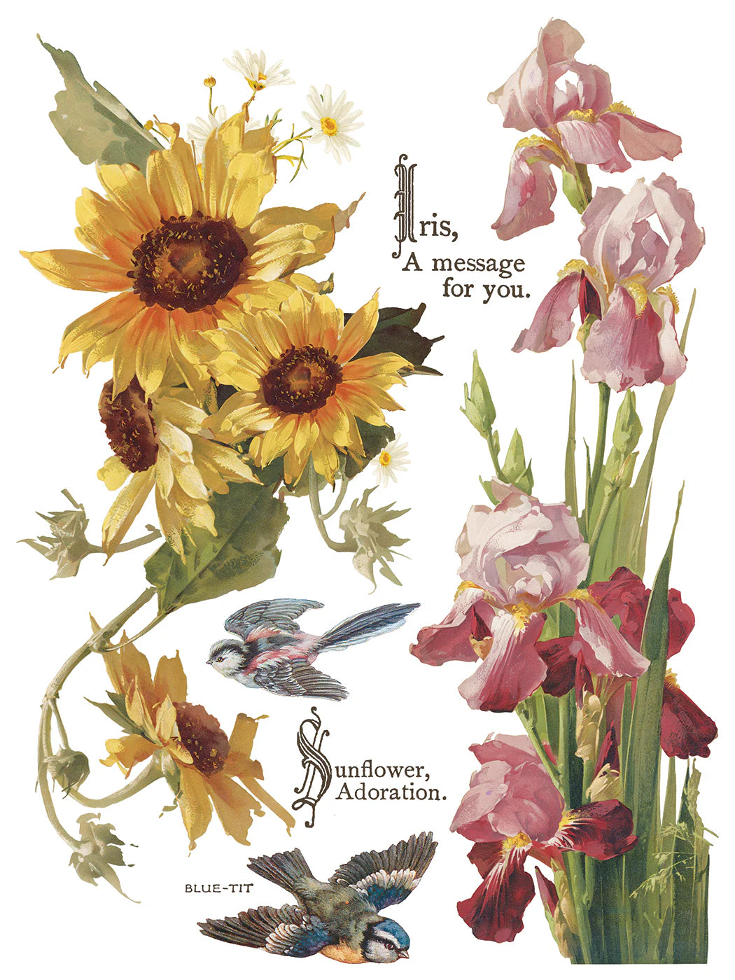 Transfer | FLOWERS BY THE POETS | IOD Iron Orchid Designs