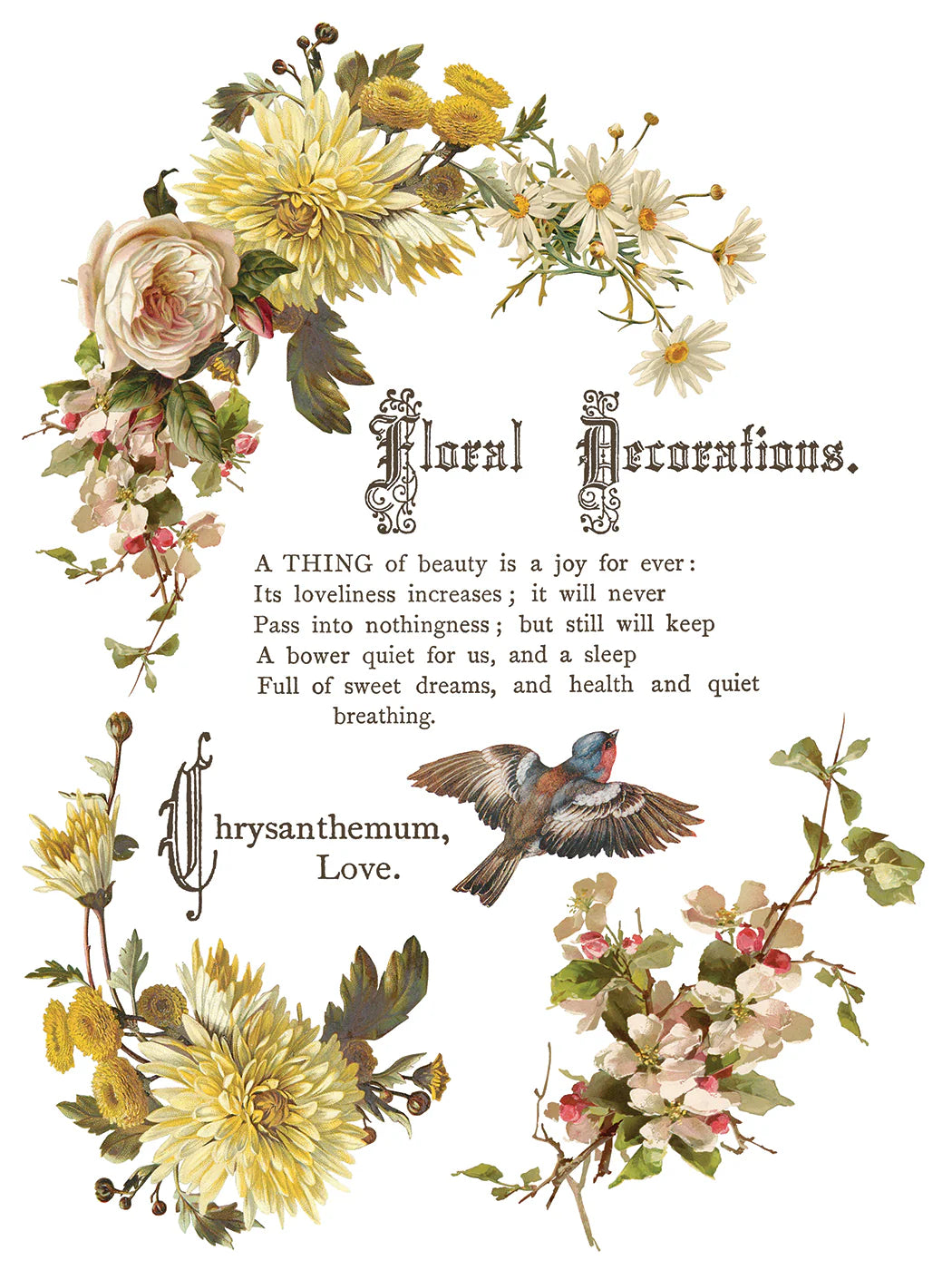 Transfer | FLOWERS BY THE POETS | IOD Iron Orchid Designs