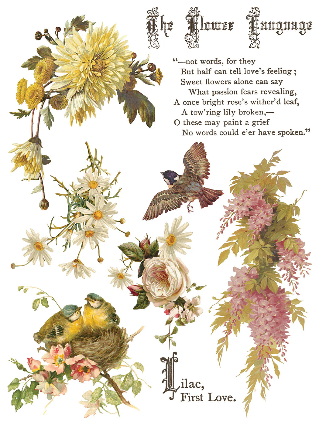 Transfer | FLOWERS BY THE POETS | IOD Iron Orchid Designs