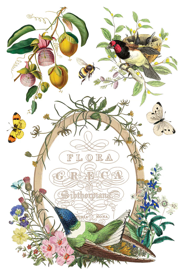 Transfer | FLORA GRECA | IOD Iron Orchid Designs