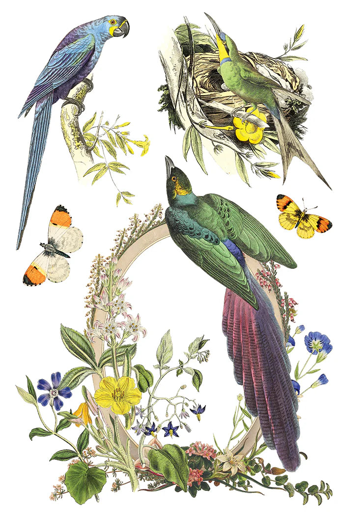 Transfer | FLORA GRECA | IOD Iron Orchid Designs