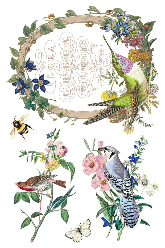 Transfer | FLORA GRECA | IOD Iron Orchid Designs