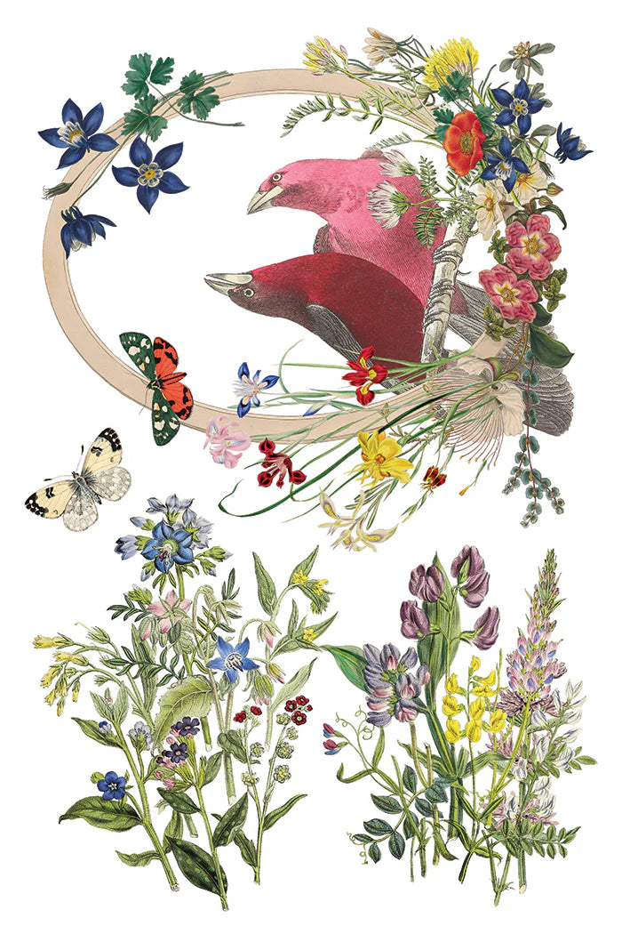 Transfer | FLORA GRECA | IOD Iron Orchid Designs