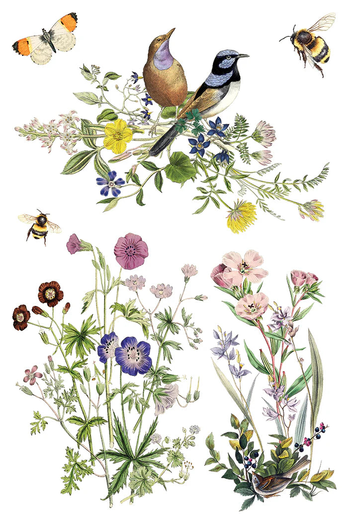 Transfer | FLORA GRECA | IOD Iron Orchid Designs