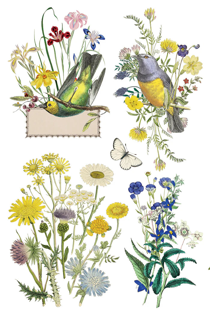Transfer | FLORA GRECA | IOD Iron Orchid Designs