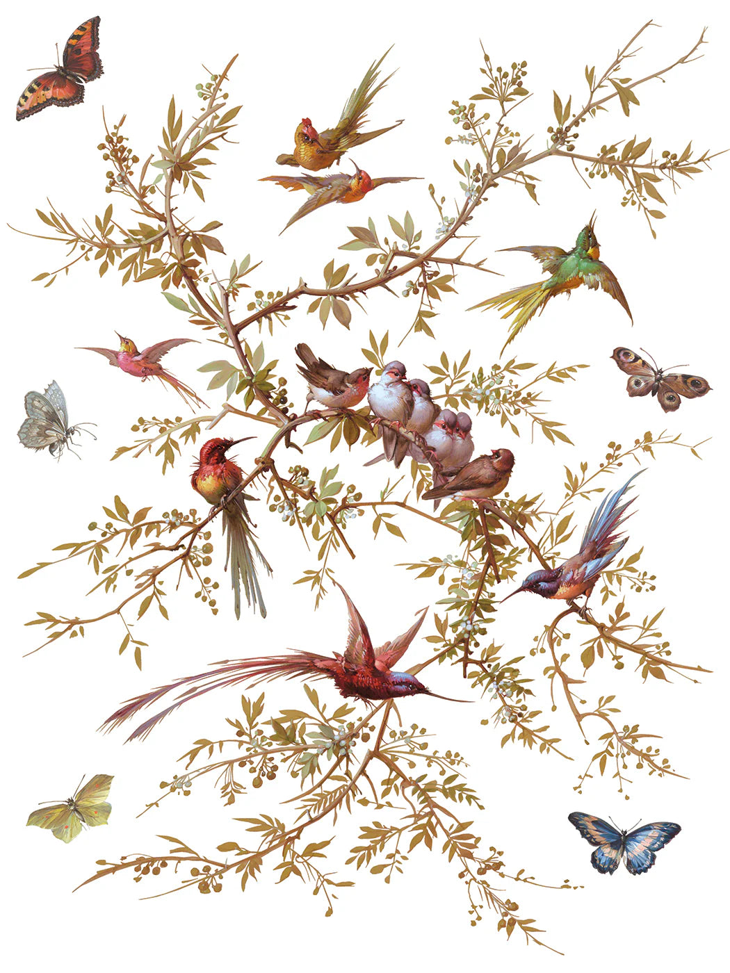 Transfer | MADELEINE | IOD Iron Orchid Designs