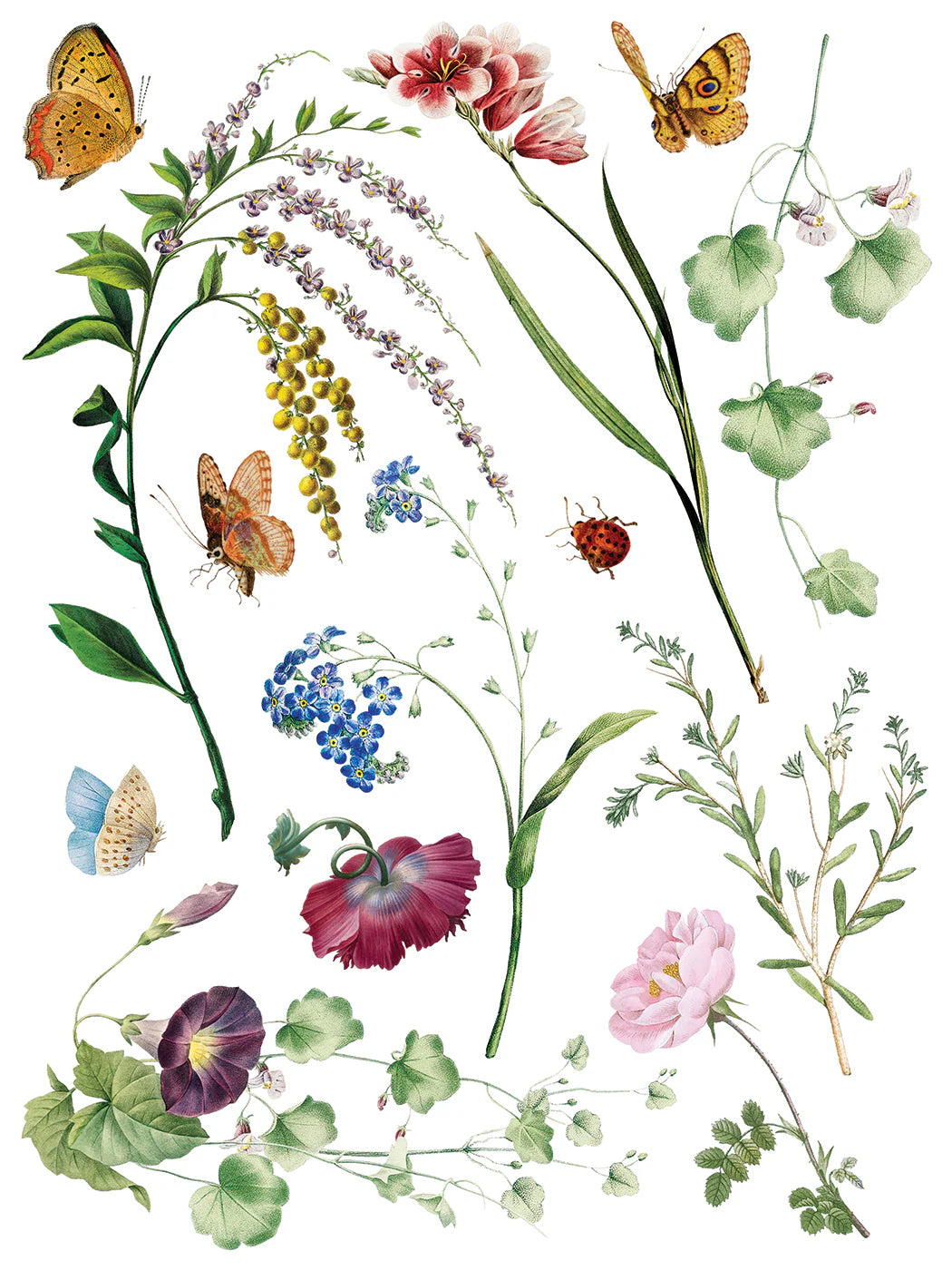 Transfer | MARCHE DES FLEURS | IOD Iron Orchid Designs