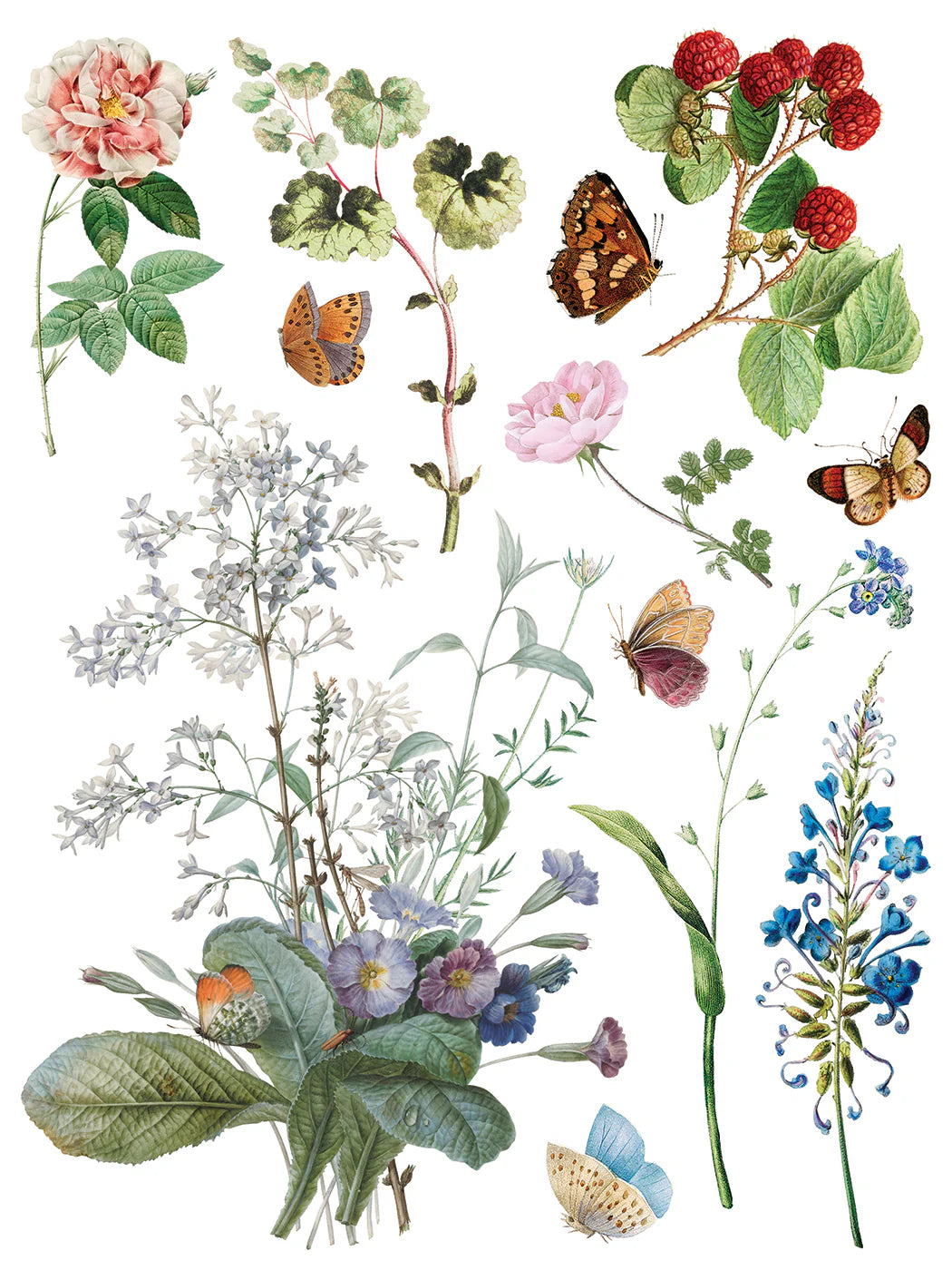 Transfer | MARCHE DES FLEURS | IOD Iron Orchid Designs