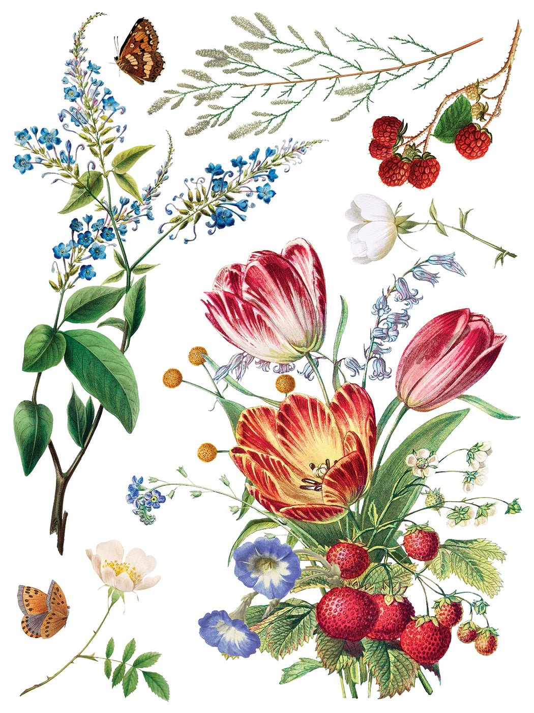 Transfer | MARCHE DES FLEURS | IOD Iron Orchid Designs