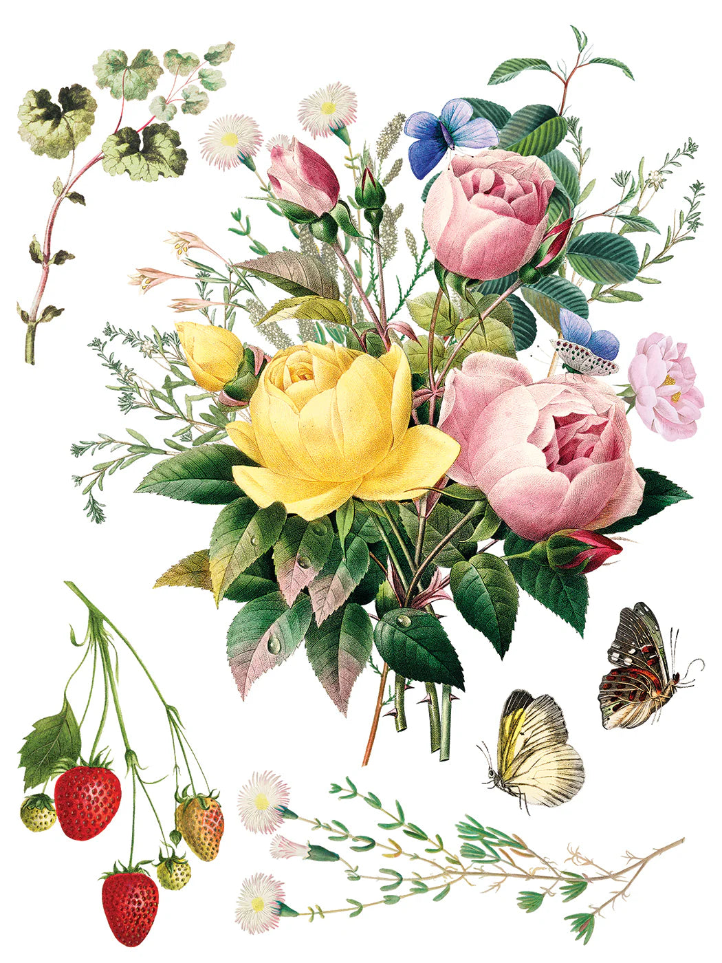 Transfer | MARCHE DES FLEURS | IOD Iron Orchid Designs