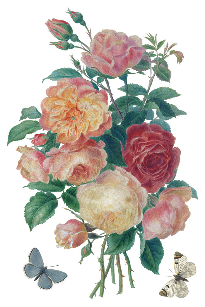 Transfer | SAINT OUEN | IOD Iron Orchid Designs