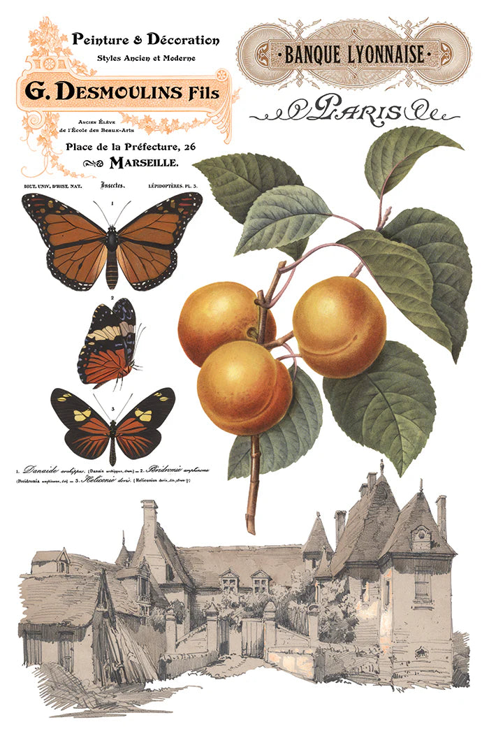 Transfer | SAINT OUEN | IOD Iron Orchid Designs
