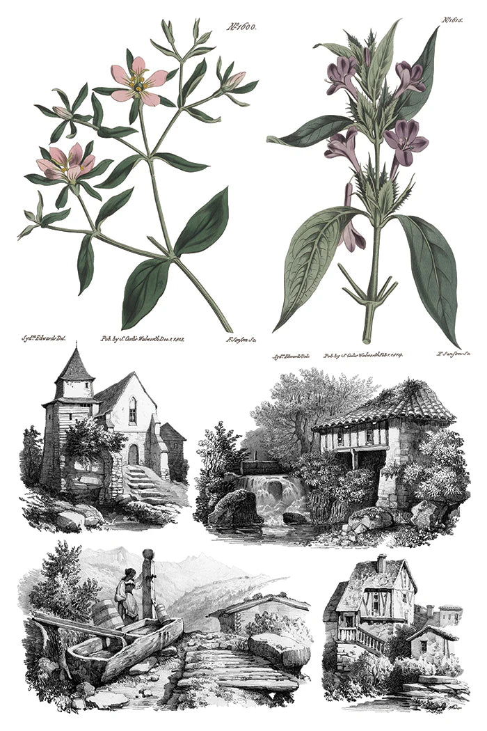 Transfer | SAINT OUEN | IOD Iron Orchid Designs