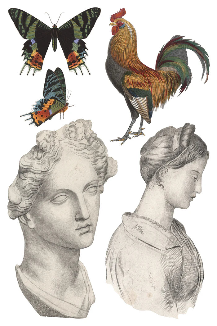 Transfer | SAINT OUEN | IOD Iron Orchid Designs