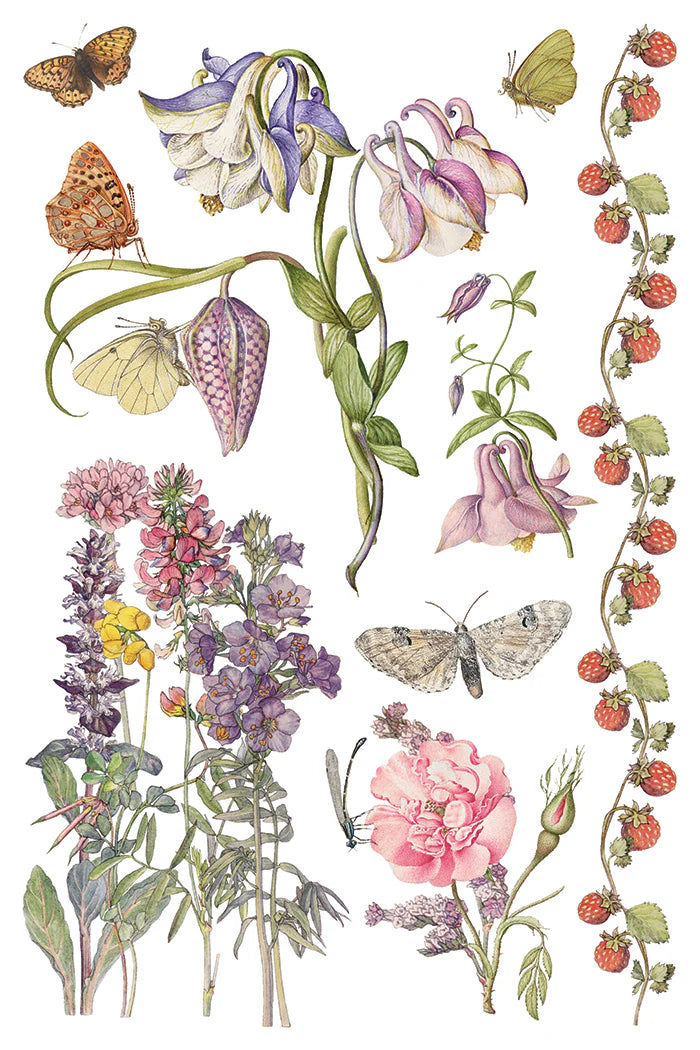 Transfer | PRIMROSE ISLE | IOD Iron Orchid Designs
