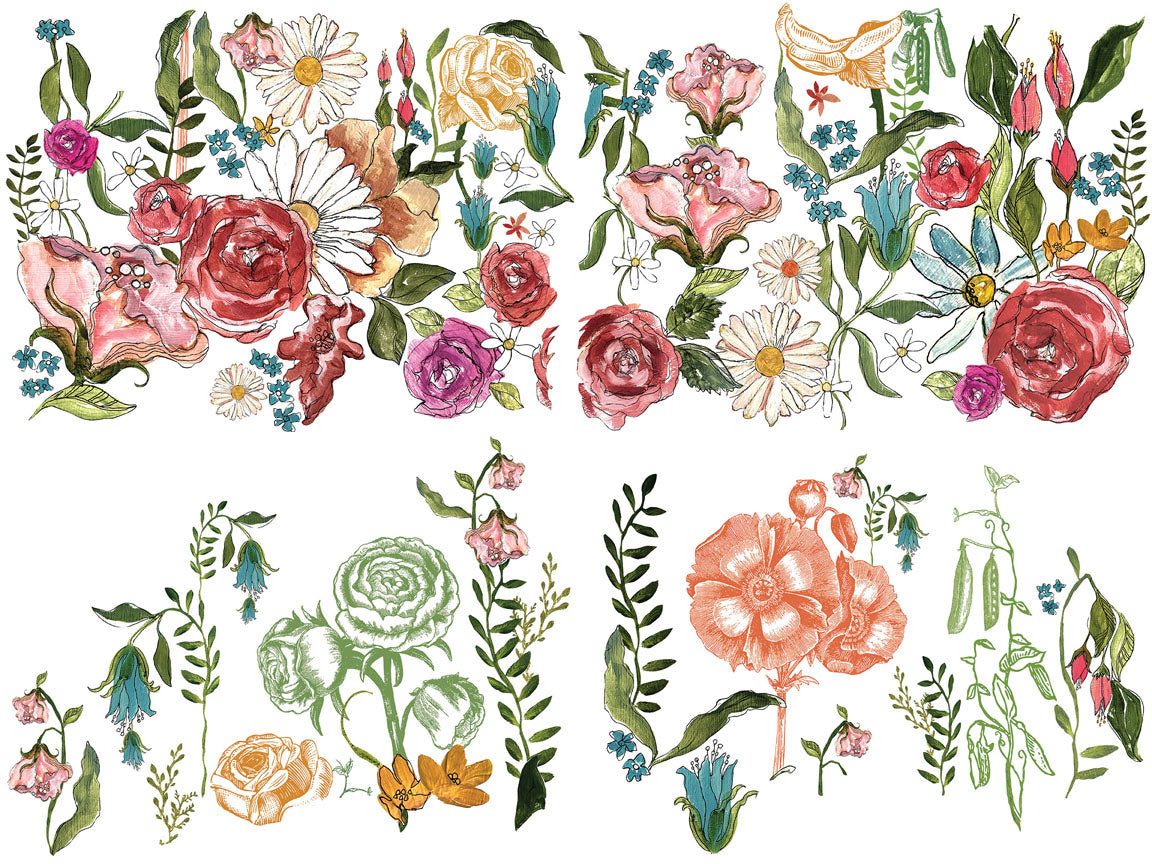 Transfer | WANDER| IOD Iron Orchid Designs