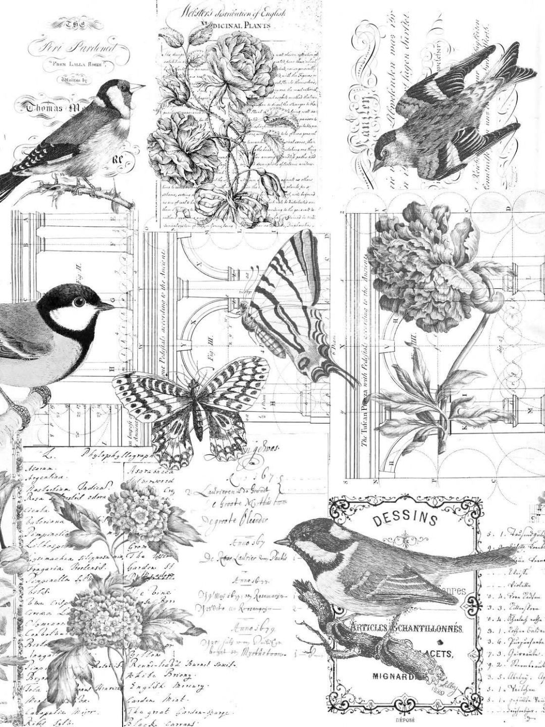 ROYCYCLED | Paintable Botanical