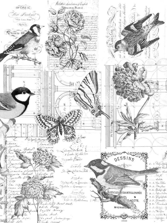 ROYCYCLED | Paintable Botanical