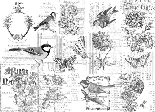 Paintable Botanical - Roycycled Decoupage Paper FREE SHIPPING