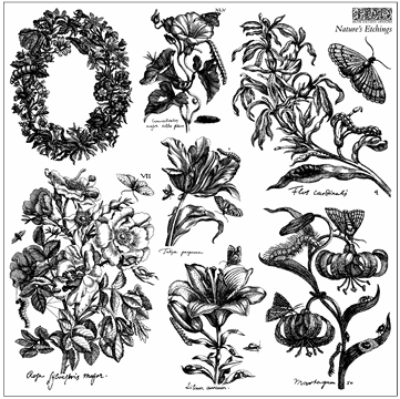 Stamp | NATURE'S ETCHINGS | IOD Iron Orchid Designs