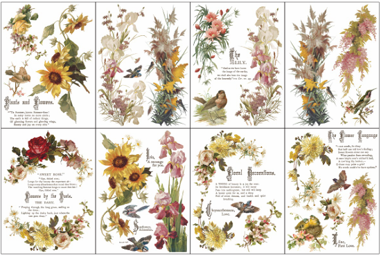 Transfer | FLOWERS BY THE POETS | IOD Iron Orchid Designs