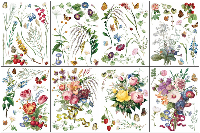 Transfer | MARCHE DES FLEURS | IOD Iron Orchid Designs