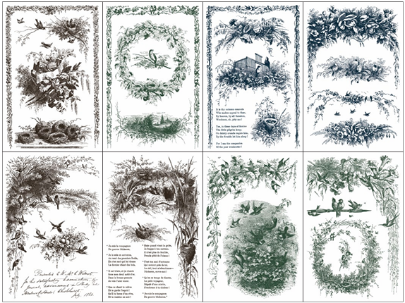 PRE-ORDER Paint Inlay | LITTLE LARK | IOD Iron Orchid Designs