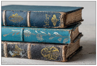 PRE-ORDER Gilded Transfer | ATHENAEUM | IOD Iron Orchid Designs