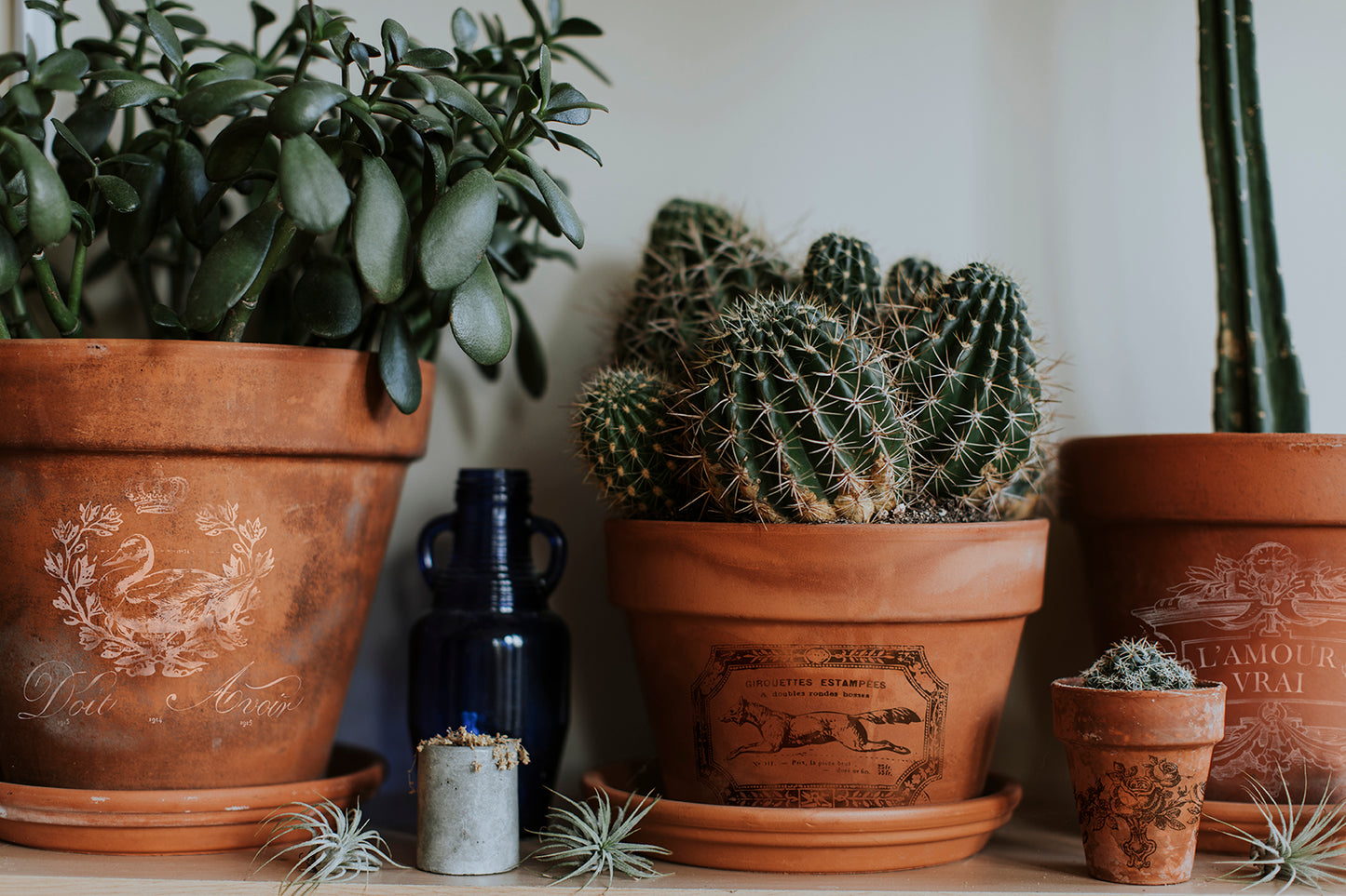 Transfer | TRADITIONAL POTS | IOD Iron Orchid Designs